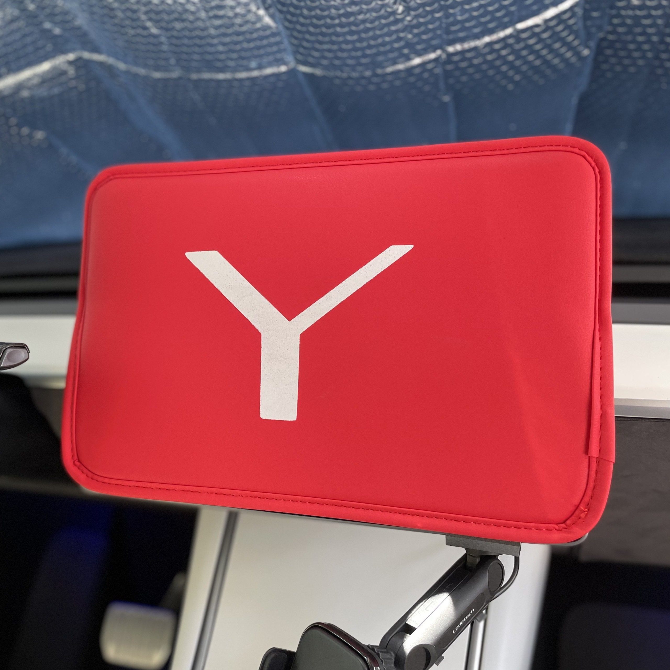 2020-2024 | Model Y Padded Display Screen Cover Online Hot Sale