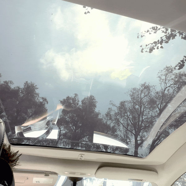 2020 - 2024 | Model Y - Electric Powered Retractable Sunroof Sunshade Hot on Sale