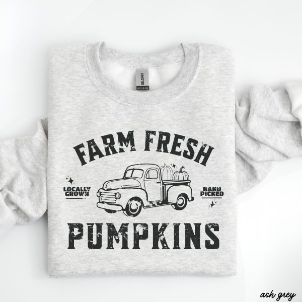 Pre-Order: Farm Fresh Pumpkins Sweatshirt *5 Colors (S-3X) Sale - Image 4
