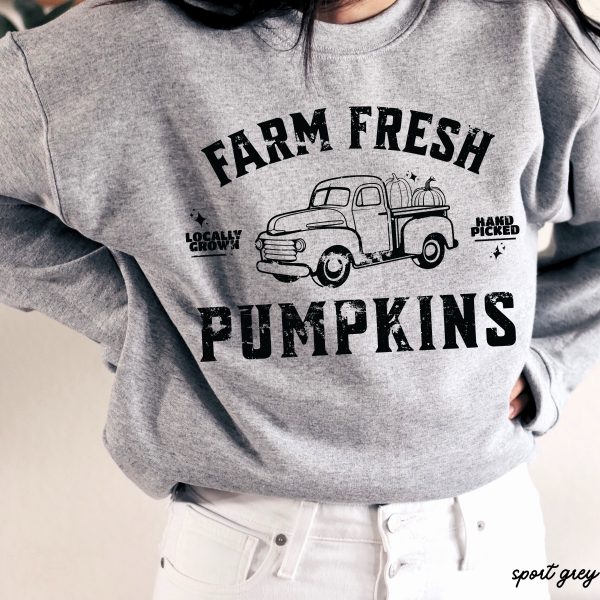 Pre-Order: Farm Fresh Pumpkins Sweatshirt *5 Colors (S-3X) Sale - Image 3