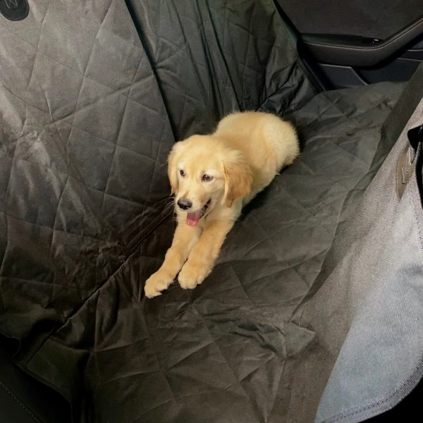 Backseat Pet Cover with Leash on Sale