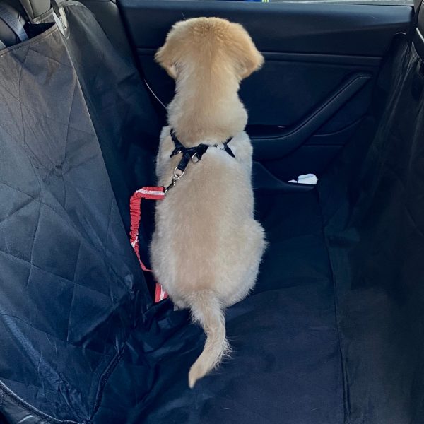 Backseat Pet Cover with Leash on Sale - Image 2