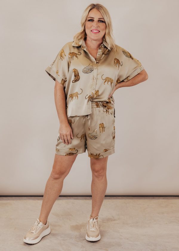 Chloe Cheetah Shorts *OLIVE Sale - Image 4